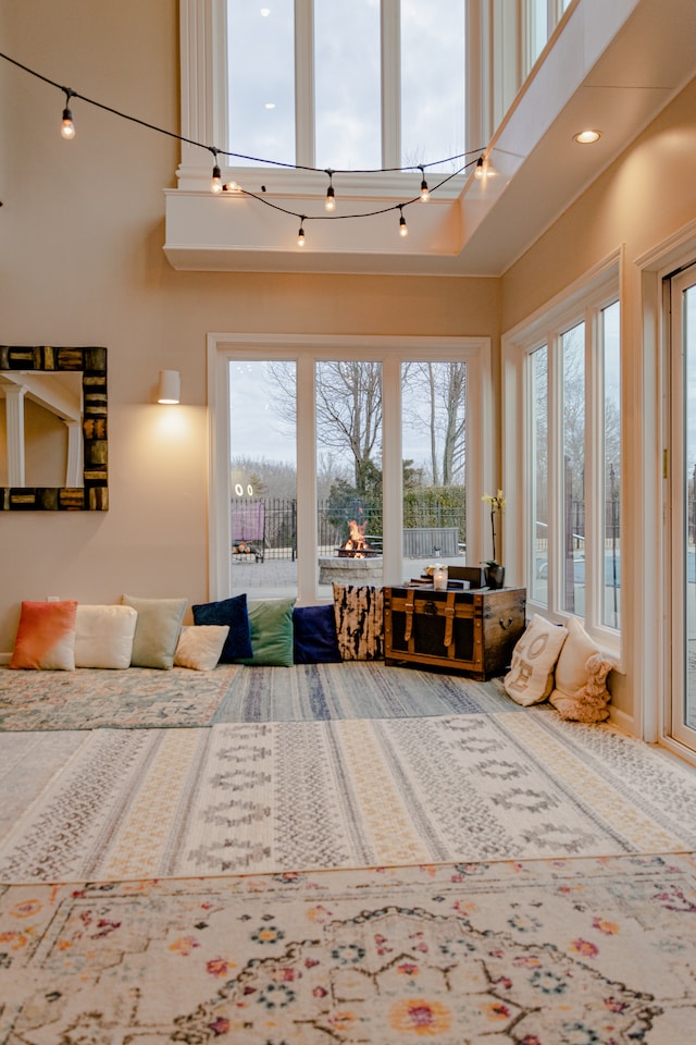 Popular Uses and Applications of Western Diamond Rugs